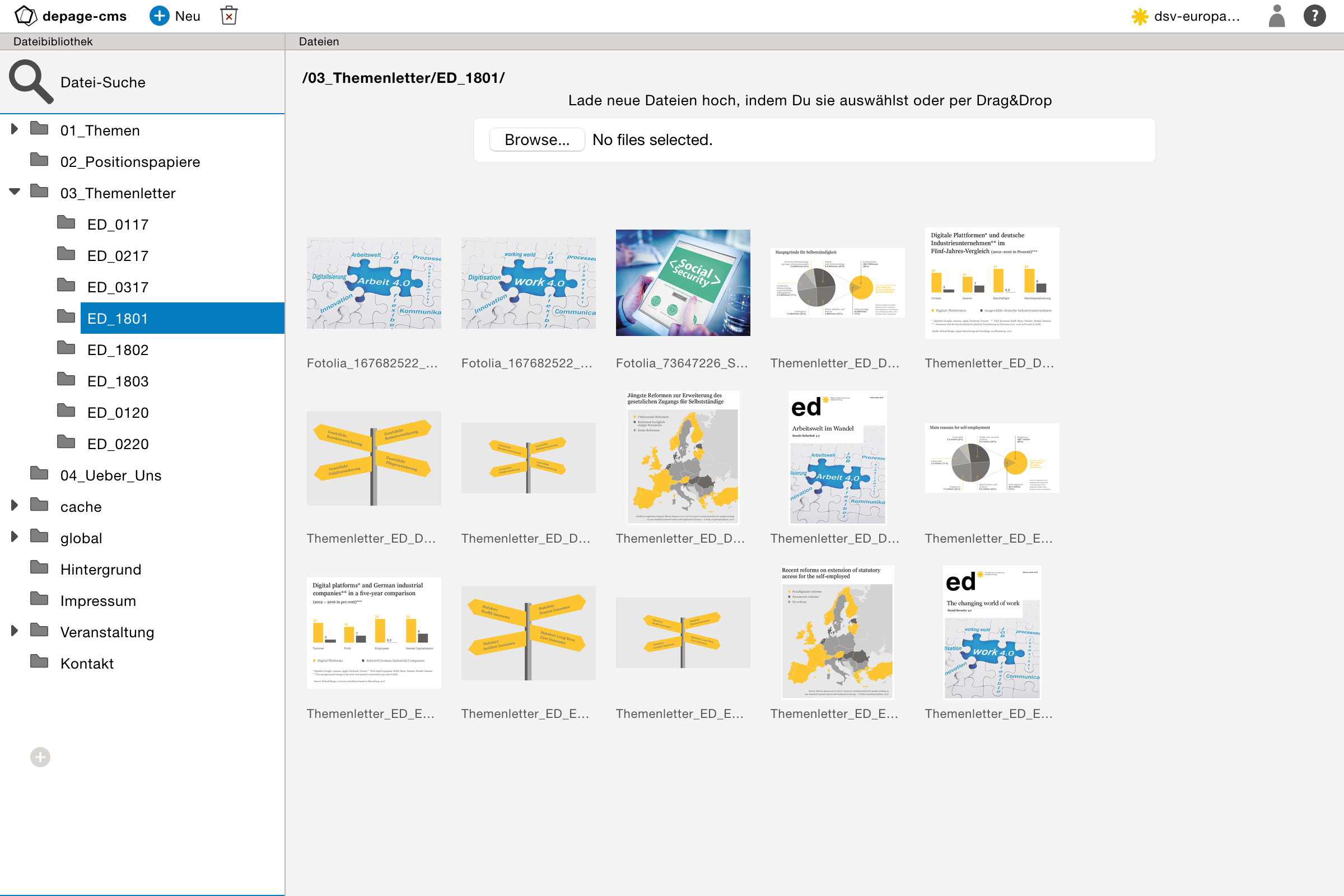 The file overview in the file library